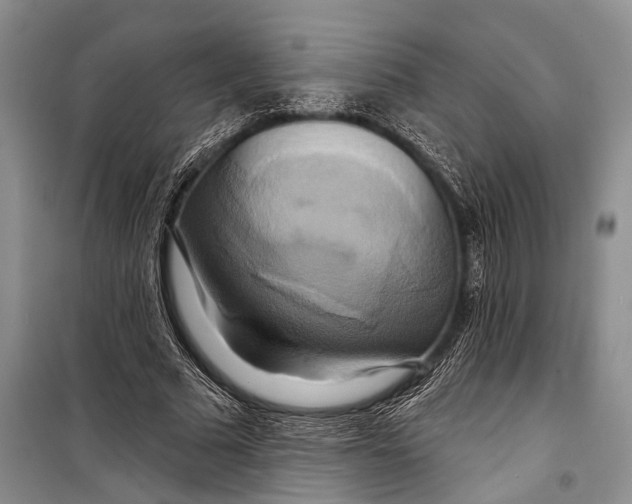 X0000098210681200805151253