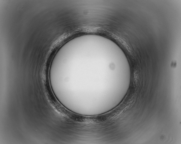 X0000098210682200805151253