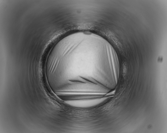 X0000098210684200805151253