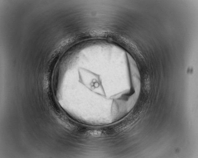 X0000098210687200805151253