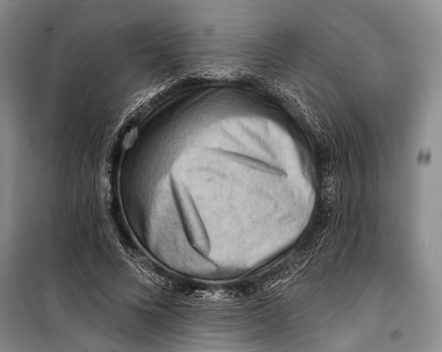 X0000098210688200805151253