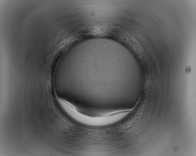 X0000098210689200805151253