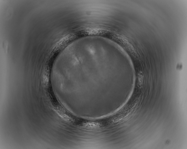 X0000098210691200805151253