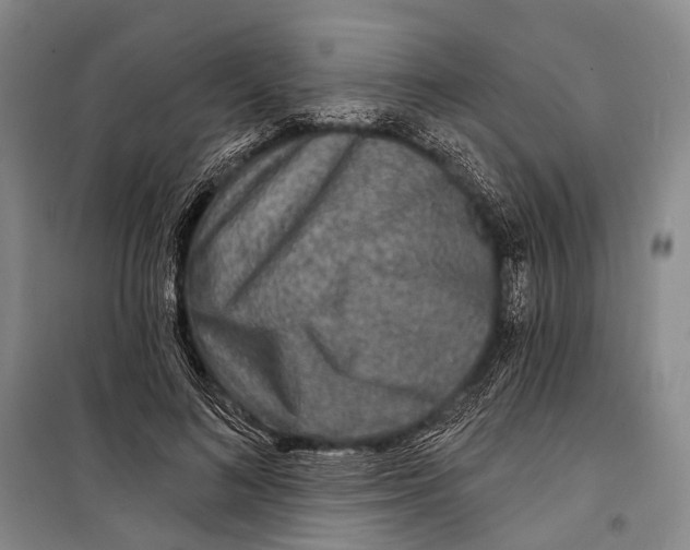 X0000098210692200805151253