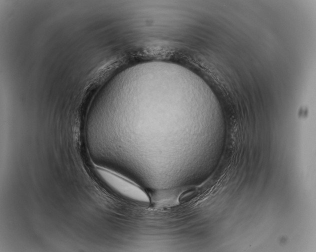 X0000098210693200805151253