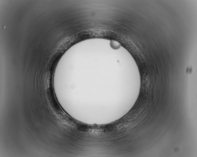 X0000098210694200805151253