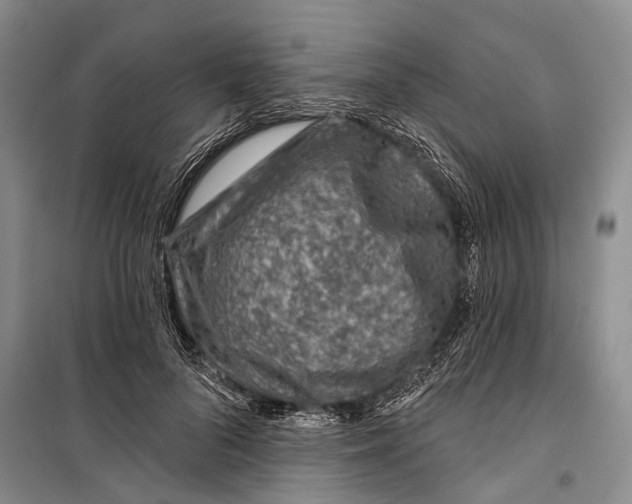 X0000098210696200805151253