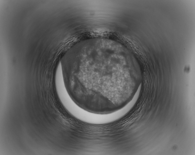 X0000098210699200805151253