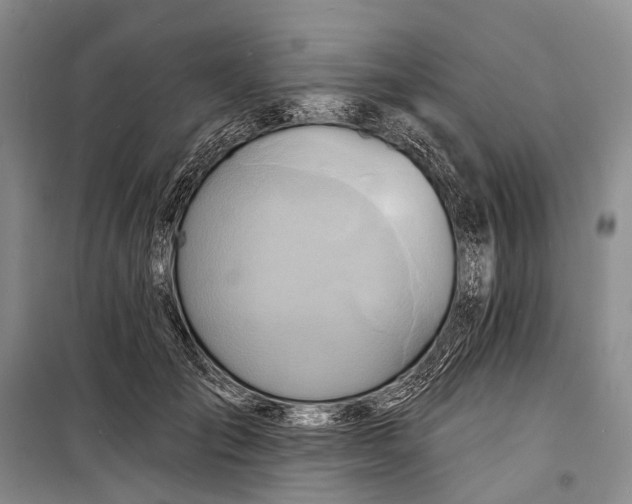 X0000098210701200805151253