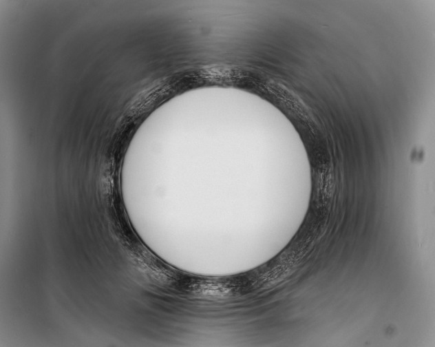 X0000098210702200805151253