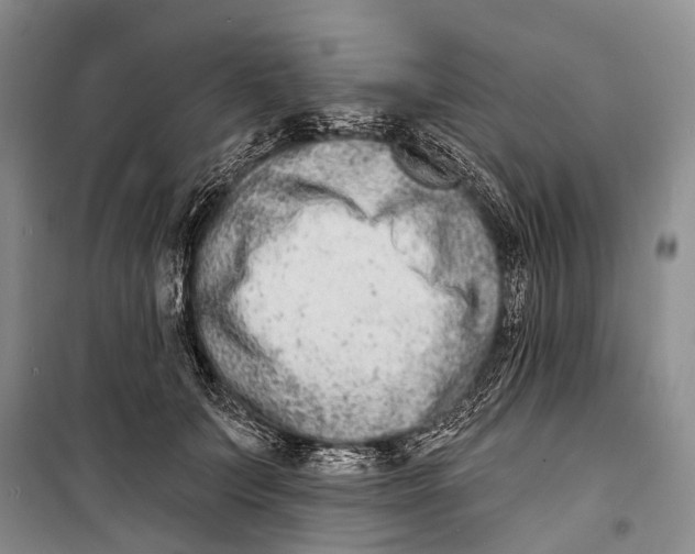 X0000098210703200805151253