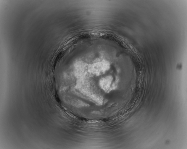 X0000098210707200805151253