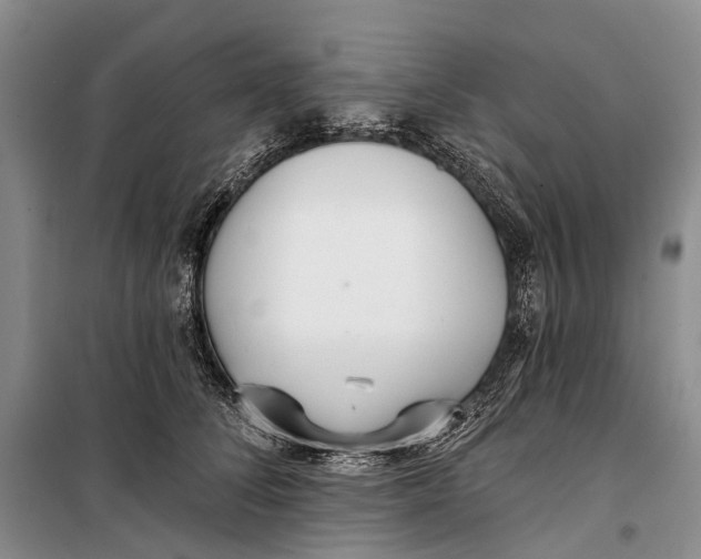 X0000098210708200805151253