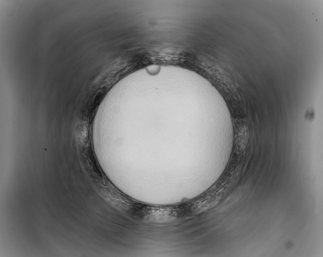 X0000098210709200805151253