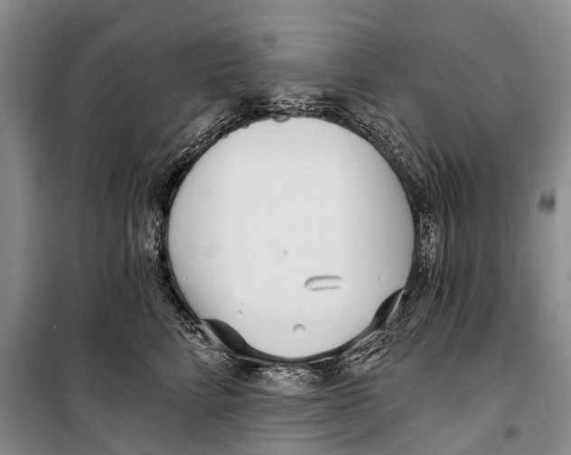 X0000098210712200805151253