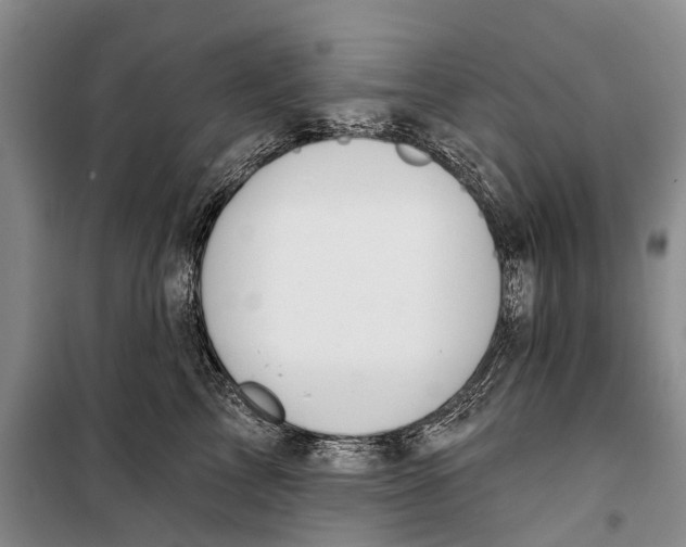 X0000098210713200805151253