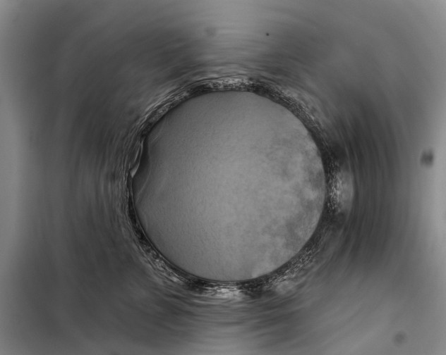 X0000098210715200805151253