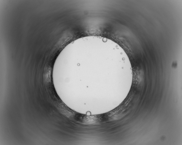 X0000098210717200805151253