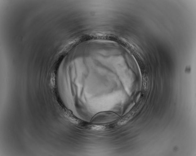 X0000098210718200805151253