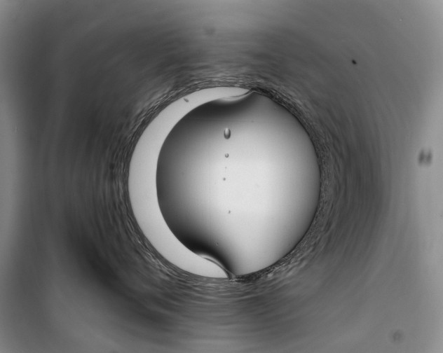 X0000098210720200805151253