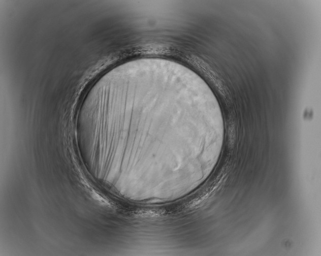X0000098210721200805151252