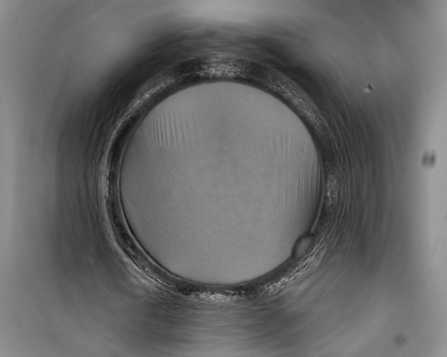 X0000098210722200805151252
