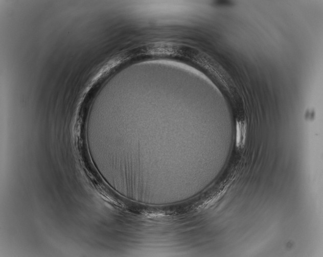 X0000098210723200805151252