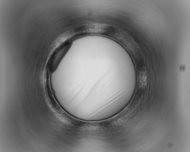 X0000098210726200805151252