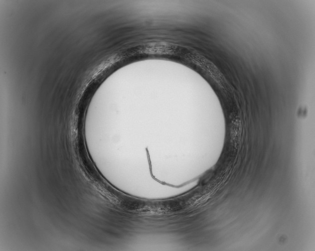 X0000098210727200805151252