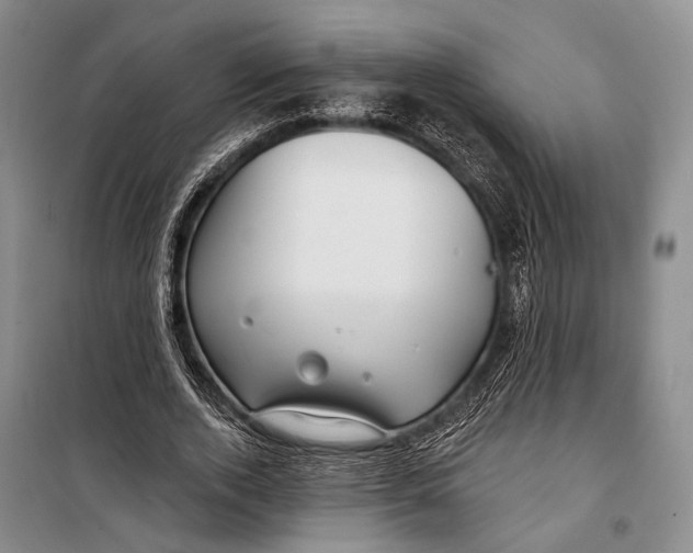 X0000098210728200805151252