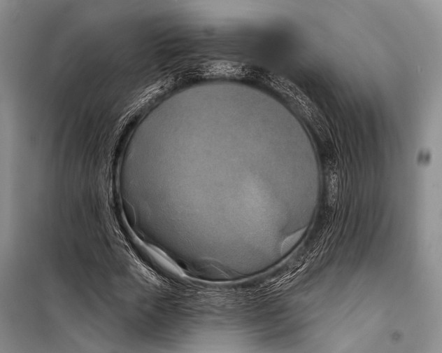 X0000098210729200805151252