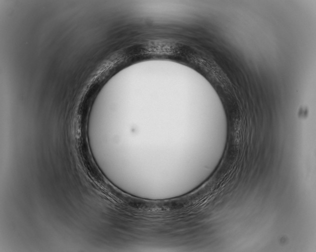X0000098210731200805151252