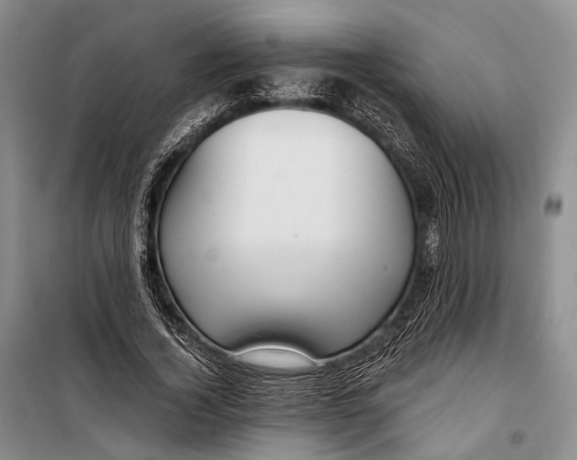 X0000098210732200805151252