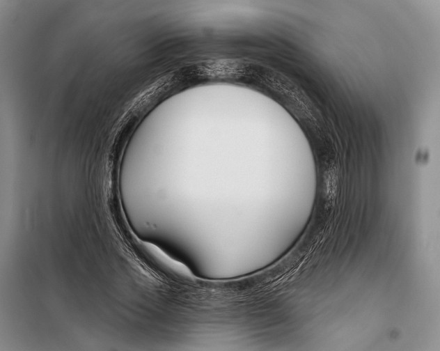X0000098210733200805151252