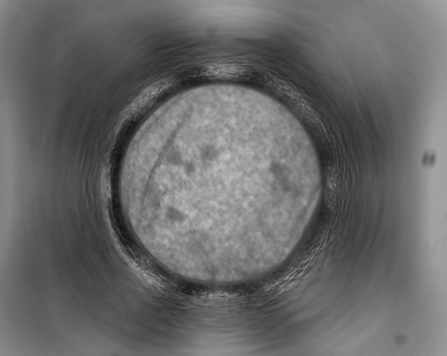 X0000098210734200805151252