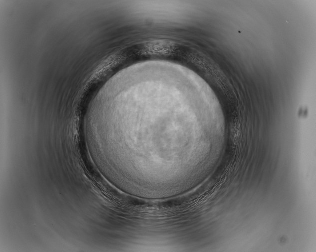 X0000098210735200805151252