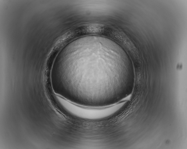 X0000098210736200805151252