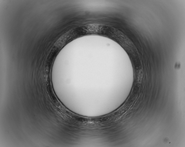 X0000098210737200805151252