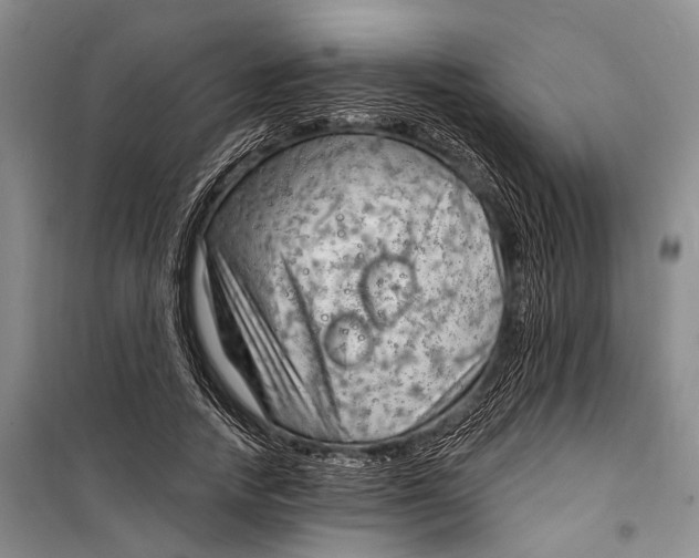 X0000098210738200805151252