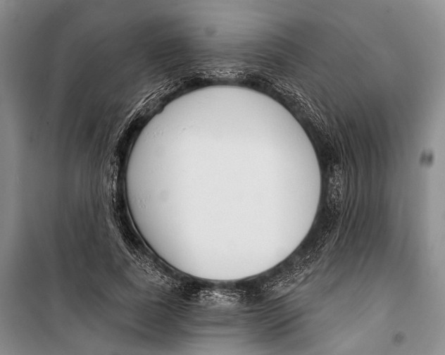 X0000098210739200805151252