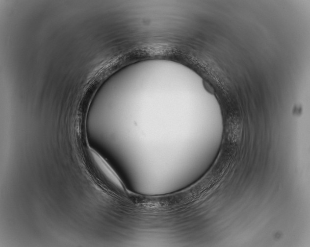 X0000098210740200805151252