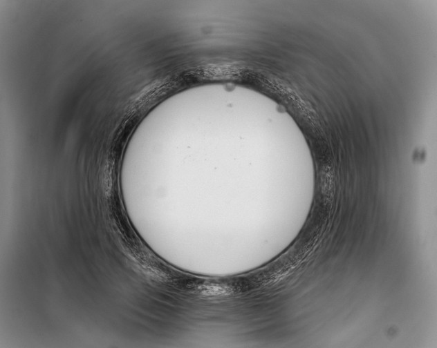 X0000098210741200805151252