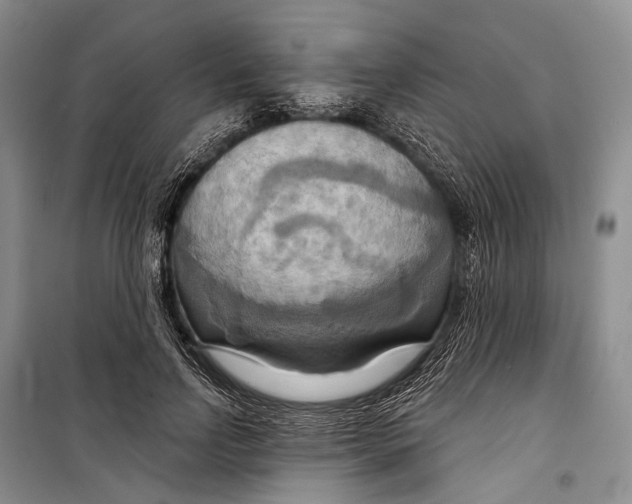 X0000098210742200805151252