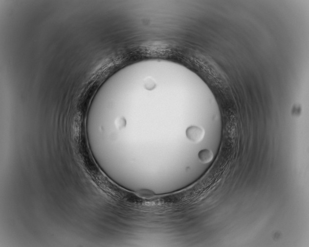 X0000098210744200805151252