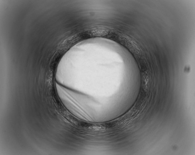X0000098210745200805151252