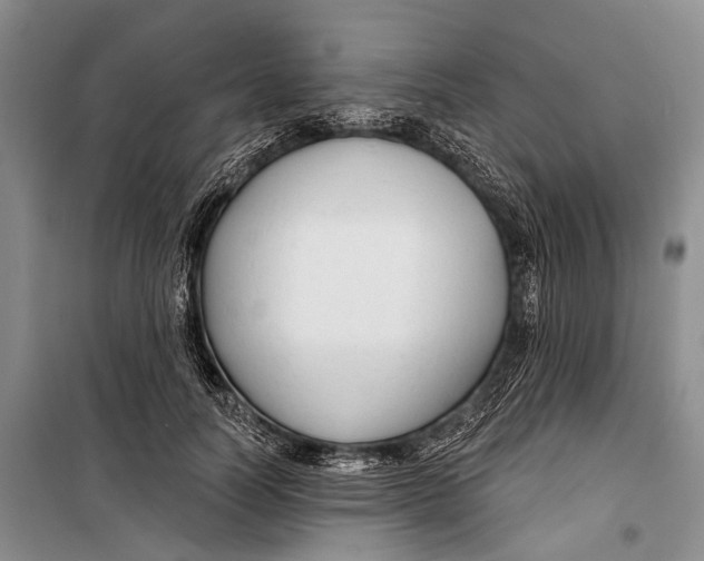 X0000098210746200805151252