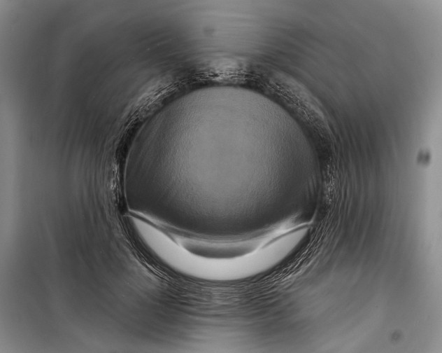 X0000098210748200805151252