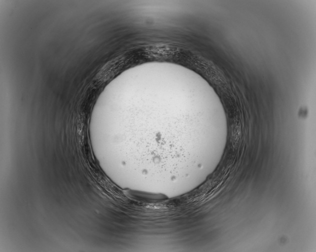 X0000098210749200805151252