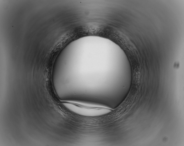 X0000098210750200805151252