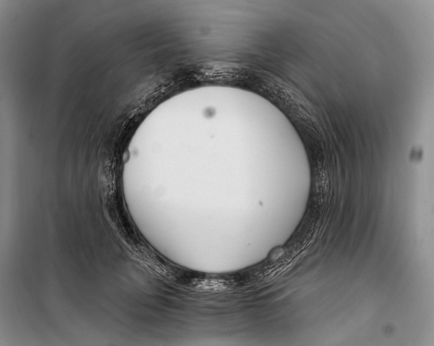 X0000098210751200805151252